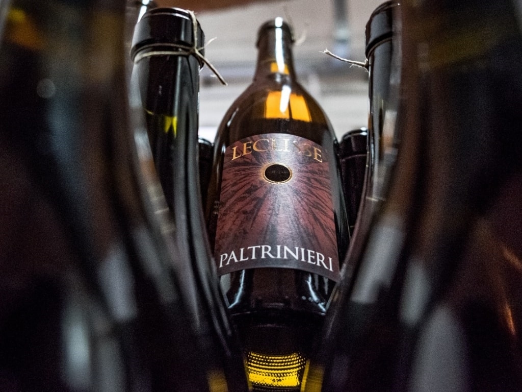 cantina paltrinieri 4