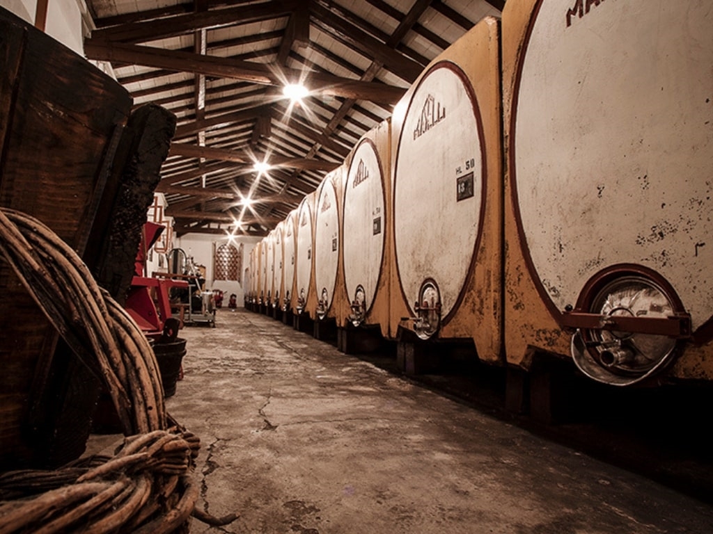 cantina paltrinieri 1