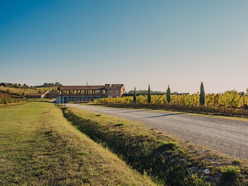 monte delle vigne