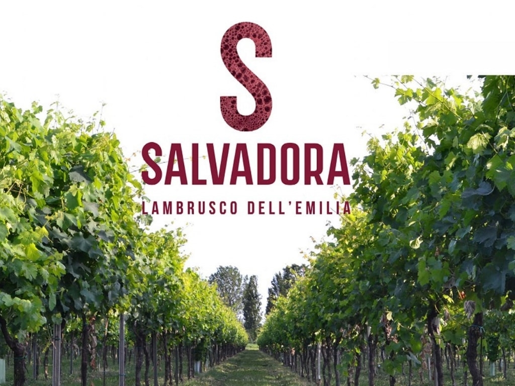 salvadora